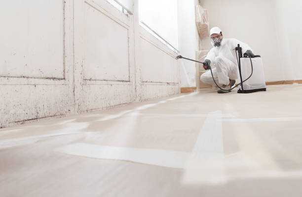 24/7 Emergency Mold Remediation experts in Billerica, MA