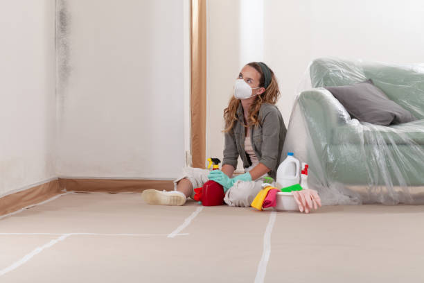 Reliable Mold Remediation contractor in Billerica, MA by Car Mold Remediation